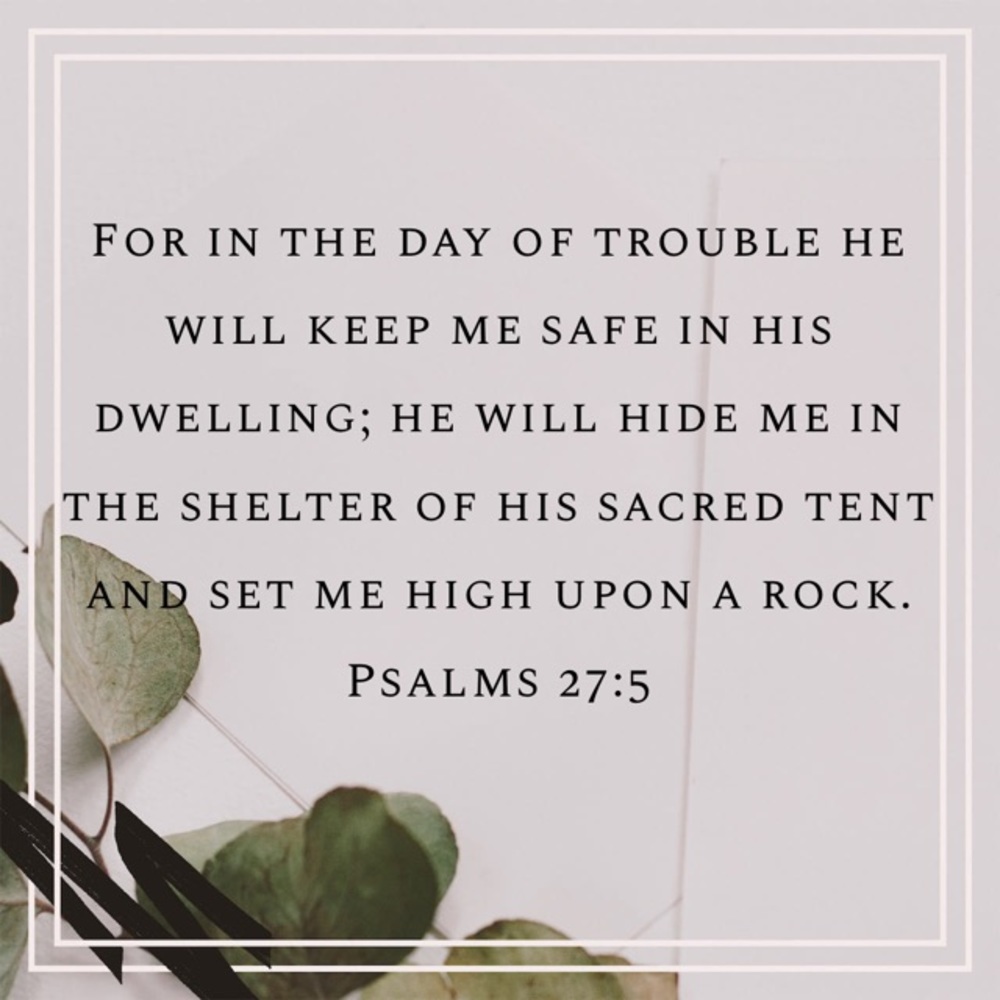 Meet your Posher, Ary